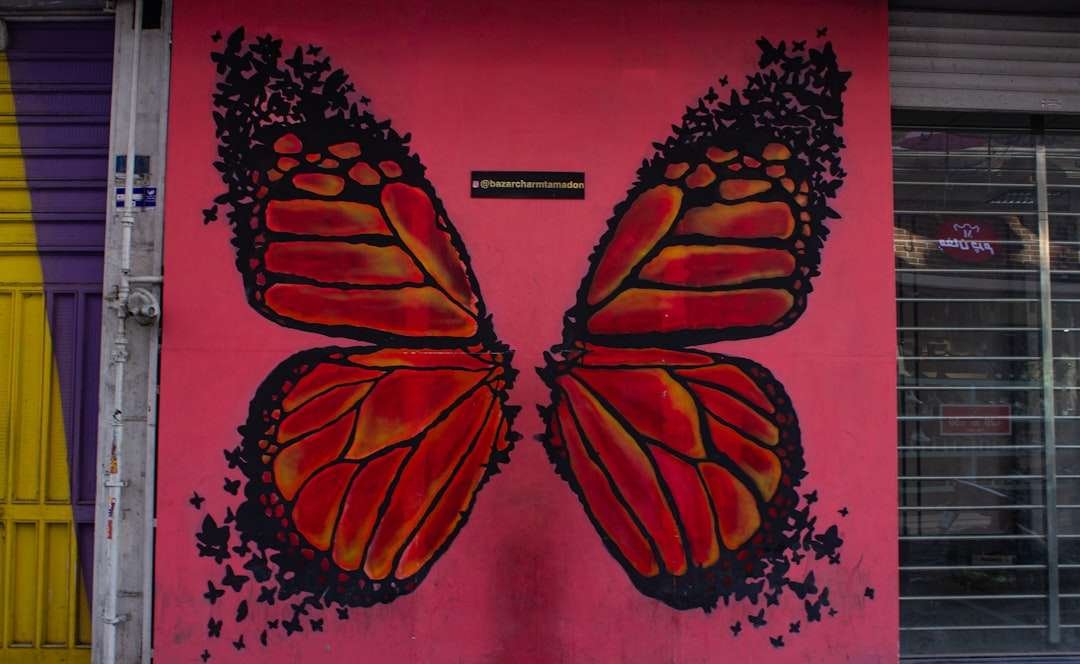 wall-art-photography-655.jpeg