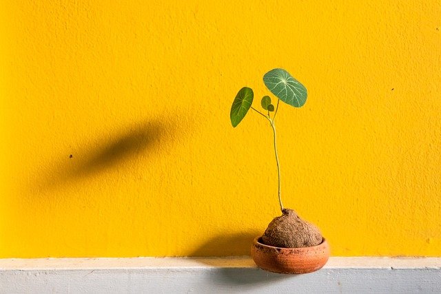 Wall-decor-prints-491.jpeg